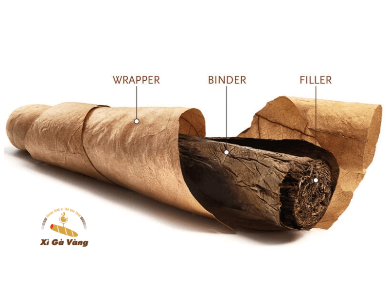 Cấu trúc của một điếu xì gà